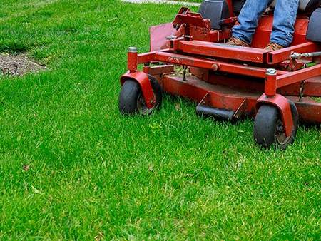 Lawn Care Lawn Care